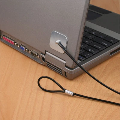 Flexguard SGG Straight Security Tether 2 Flexguard SGG Straight Security Tether